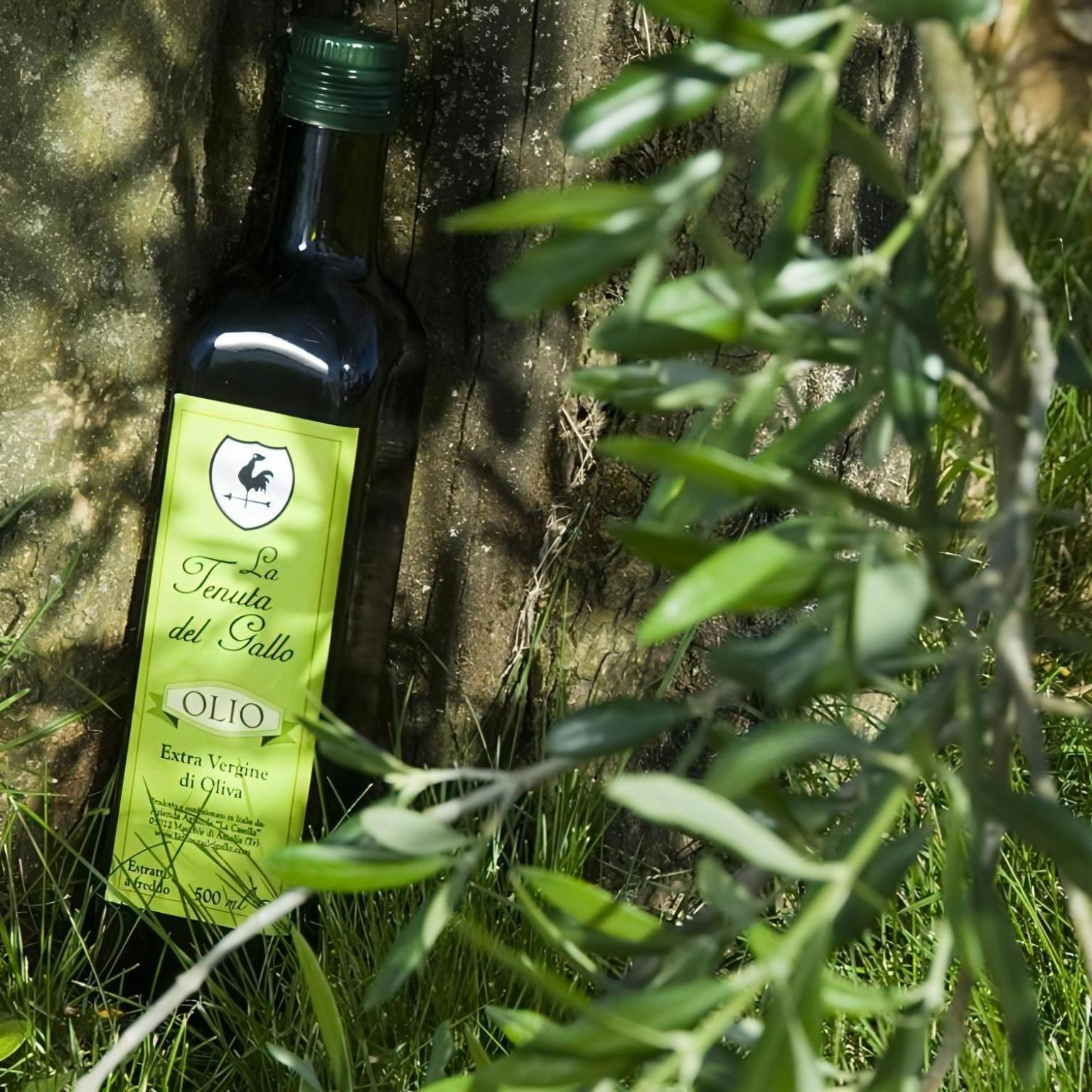 Tenuta Del Gallo Amelia Εξωτερικό φωτογραφία