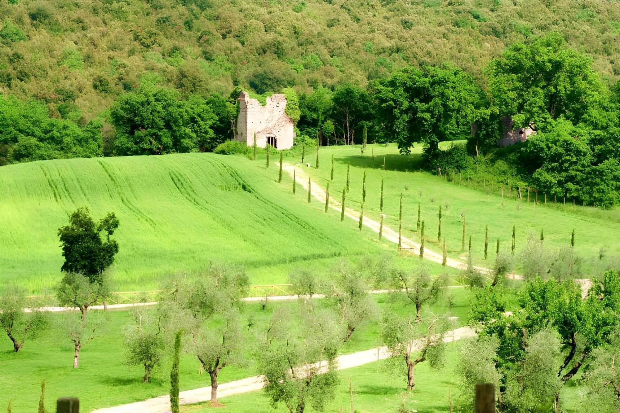 Tenuta Del Gallo Amelia Εξωτερικό φωτογραφία