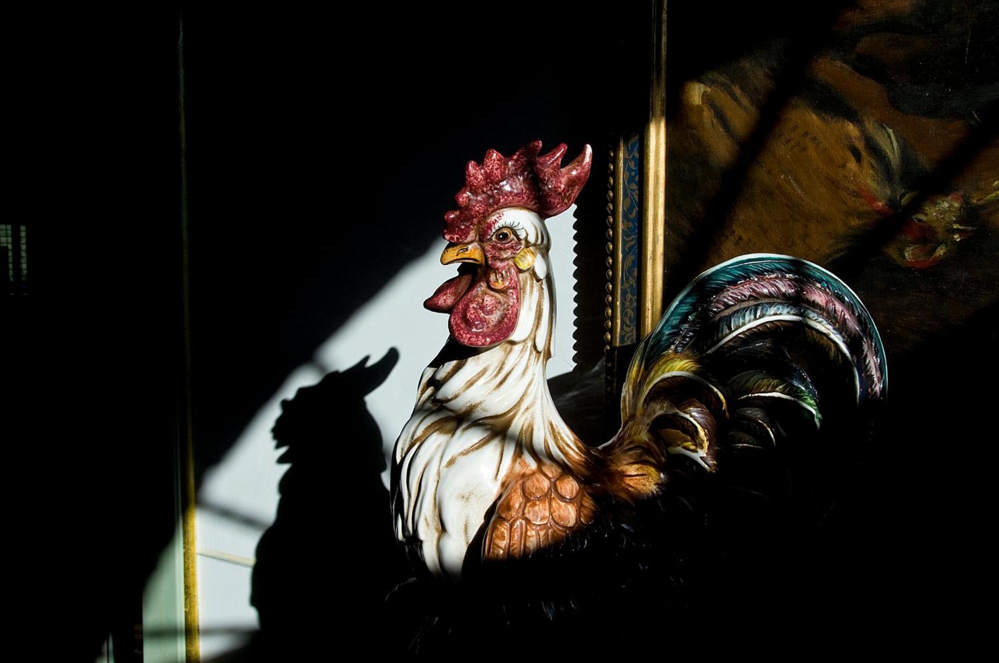 Tenuta Del Gallo Amelia Εξωτερικό φωτογραφία